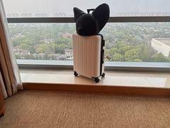 -上海浦东康桥绿地假日酒店