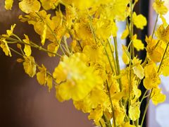 -渝乡人家(和平里店)