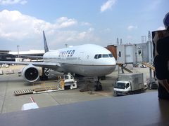 景观位-すし京辰(成田空港第１ターミナル制限区域内店)