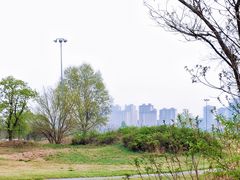 -渭河城市绿地运动公园