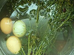 -华中科技大学光谷体育馆