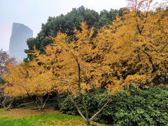 -玉山公园