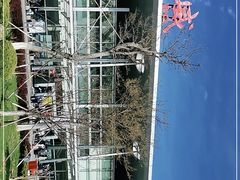 -威海大水泊国际机场