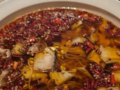 -宏宴·新京菜(望京店)