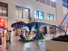 -宁波杉井奥特莱斯广场