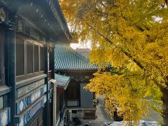 -国家图书馆·古籍馆