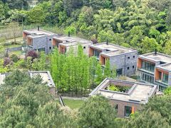 -铁山坪森林公园