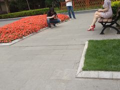 -徐家汇源景区-衡山公园