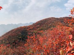 -周口店坡峰岭风景区