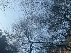 -苍岩山风景名胜区