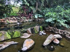 -海南热带野生动植物园