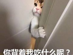 -金掌勺锅包肉(华润万象城店)