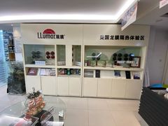 -车艺佳龙膜隐形车衣汽车贴膜(宝山丰宝店)