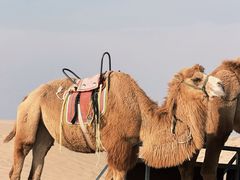 -库伦旗银沙湾旅游景区