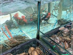 -盐通酒家(金桥湾清水苑店)