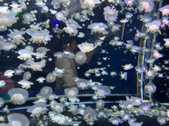 -太平洋海底世界