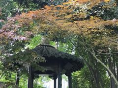 -上海醉白池公园