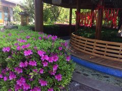 -庐山天沐温泉度假村