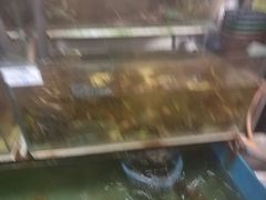 -ZF Seafood Restaurant 卓峰海鲜餐
