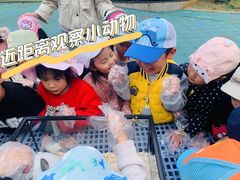 -培奇全纳幼儿园(苹果谷园区)