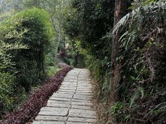 -中旅阿那亚九龙湖·公主酒店