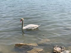 -北龙湖湿地公园