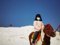 -杨柳青庄园