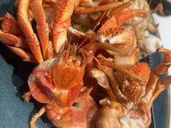 -渔港甄宴·海鲜·地标烟台菜(金沙滩店)