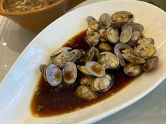 葱油蛤蜊-骏莱海鲜鱼港(五角场店)
