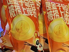 -海底捞火锅(新华联梦想城店)