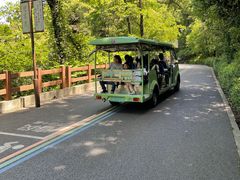 -杭州半山国家森林公园