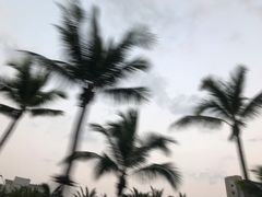 -万绿园