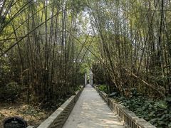 -开平碉楼文化旅游区马降龙景区