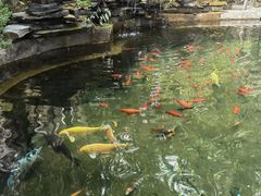 -寂照庵