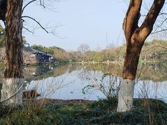 -西湖游船