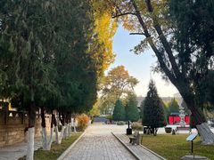 -张掖大佛寺景区