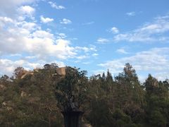 -厦门园林植物园-植物园滴水山房