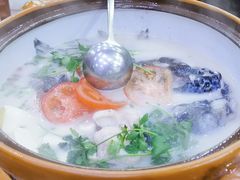 -全乐鱼馆·淳牌有机鱼直营店