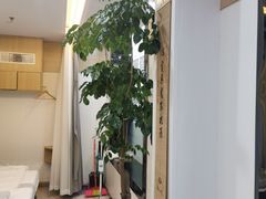 -麦悠悠·SPA·推拿(沈杜公路地铁站店)
