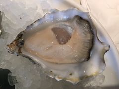 -Oyster Talks 四度蚝法餐厅