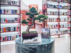 -二酉书店TOYOU BOOKS