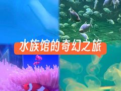 -蓬莱欧乐堡海洋极地世界