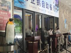 门面-帝企鹅自助餐厅•儿童岛•真企鹅(长隆企鹅酒店)