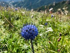 -白草畔自然风景区