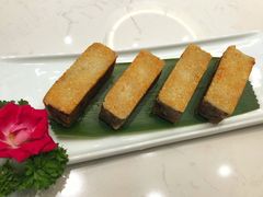 -丁老爷子苏香圆