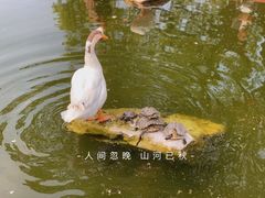 -龙华寺