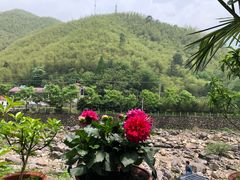 -浙北大峡谷