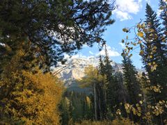 -阿萨巴斯卡瀑布观景点