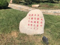 -武清南湖绿博园