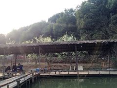 -东湖小天池真人CS彩弹野战基地